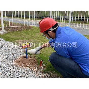 三水红火蚁防治工程