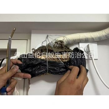 顺德房屋白蚁诱杀工程